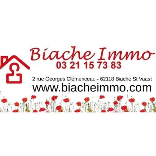 Logo Biache Immo